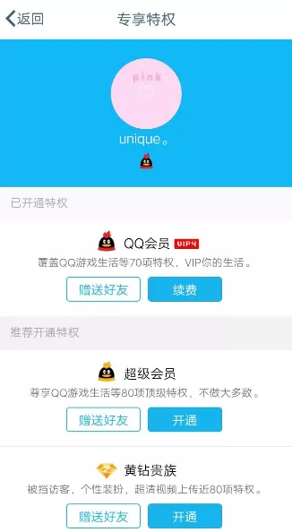 QQ手机版查询开通的会员业务的详细操作
