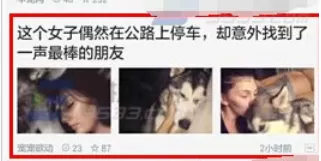 一点资讯中将图片保存的具体操作方法