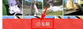 有宠中给好友发小视频的详细操作流程介绍