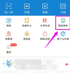 支付宝中蚂蚁森林设置能量可收取提醒的具体操作
