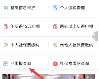 支付宝APP查看申报的地税情况的详细操作