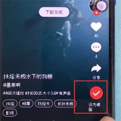 荣耀10设置动态壁纸的详细操作过程