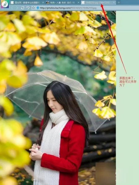 在图虫中下载图片的具体操作