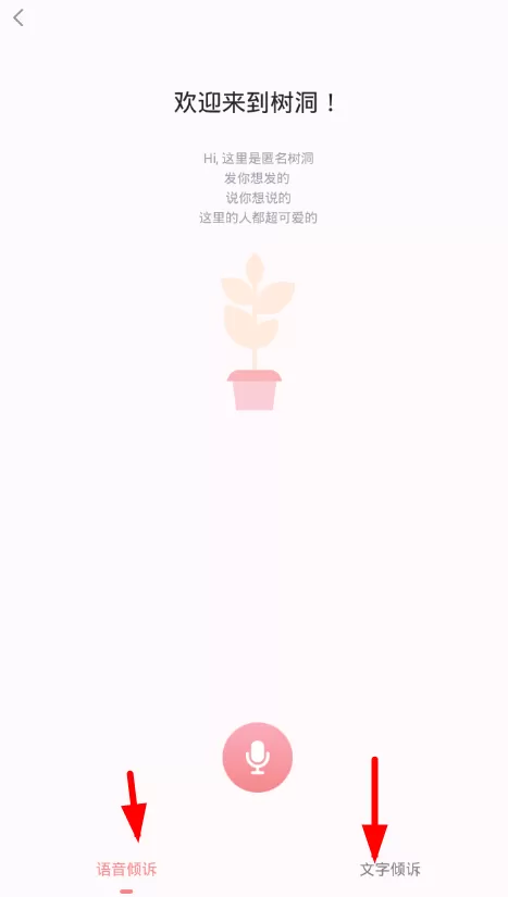最右app中发布树洞消息的具体流程