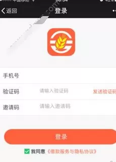 金稻草中申请借款的详细操作流程介绍