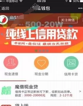 品瓜钱包中借款的操作流