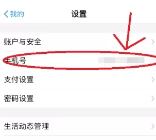 支付宝更换手机号码的操作流程