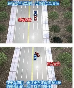 交警在线app中具体的功能介绍