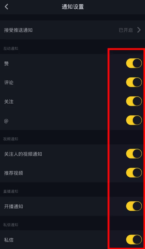 抖音消息不提示的详细处理过程