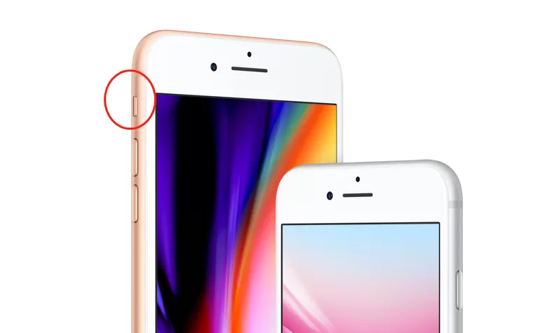 iphone8中关掉相机声音的具体流程