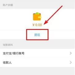 在闪电租人中进行提现的操作过程