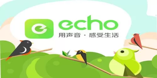 echo回声软件的详细使用过程