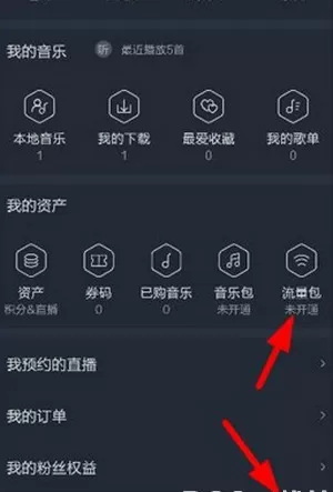 在阿里星球中开通流量包的详细操作