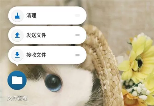 一加5T清理应用缓存的详细操作
