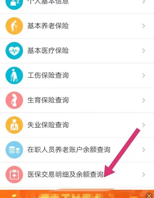 支付宝中查看医保余额的具体流程