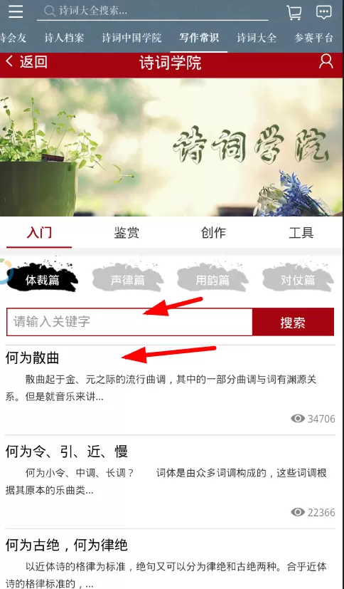 在诗词中国中查看写作常识的具体操作