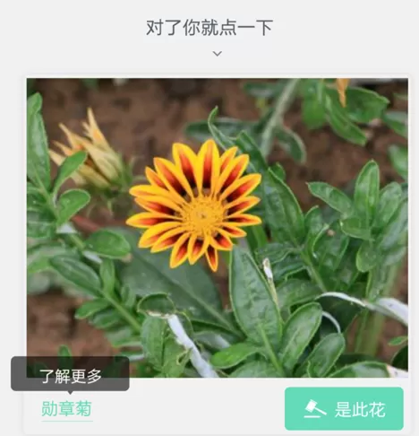 形色APP的详细使用过程讲解
