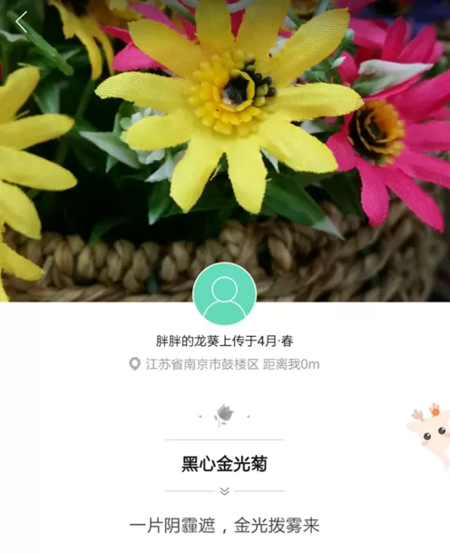 形色APP的详细使用过程讲解