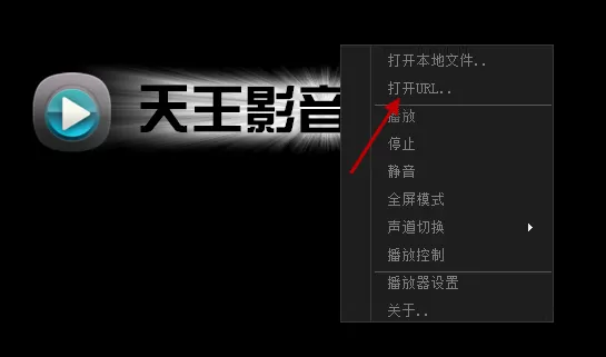 天王影音中看片的操作步骤介绍