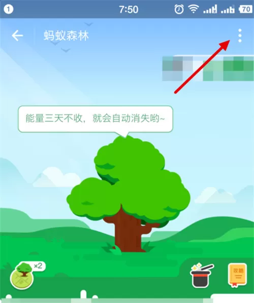支付宝隐藏蚂蚁森林能量值的操作教程