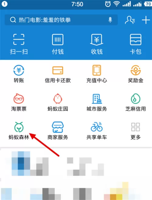 支付宝隐藏蚂蚁森林能量值的操作教程