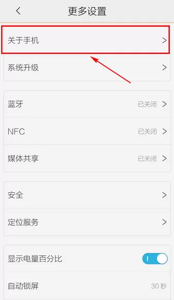 Vivo手机中查看手机型号的操作流程介绍