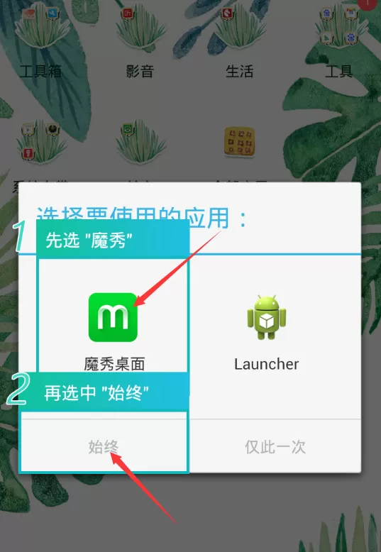 魔秀桌面软件的设置过程介绍