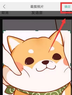 抖音APP中更换个性头像的具体操作步骤