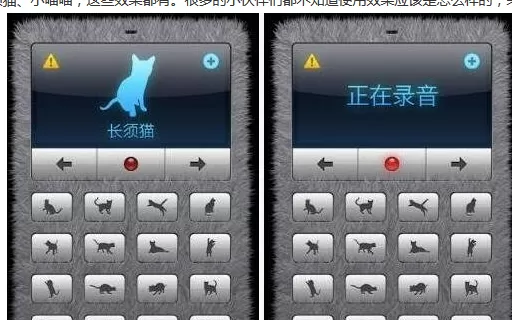 人猫交流器app的详细使用方法介绍