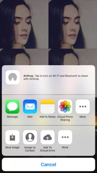 Face软件的使用过程讲解