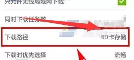 风行视频APP中设置下载路径的操作步骤讲解