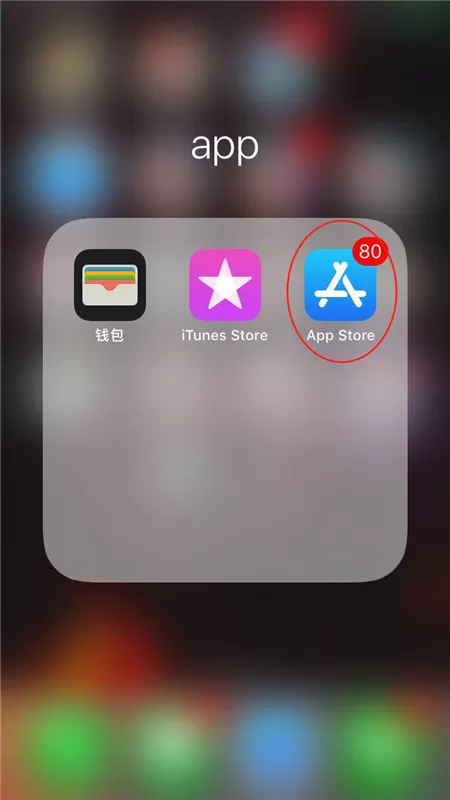 iphonex登录appstore账号的具体操作