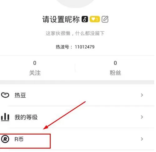 热波APP中充值R币的详细操作流程
