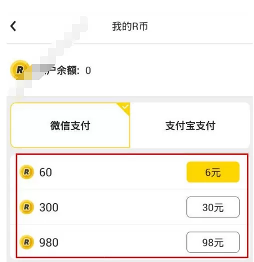热波APP中充值R币的详细操作流程