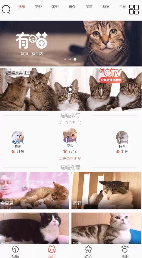 有喵app的详细使用方法介绍