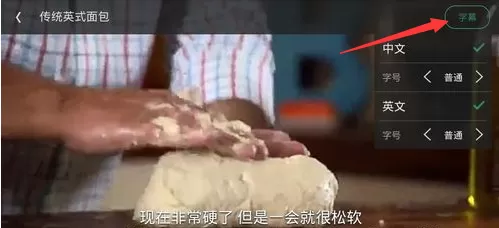 在网易公开课中调字幕的操作过程