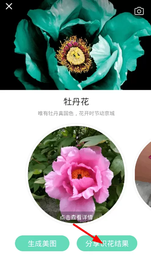 使用形色软件分享植物故事的操作过程