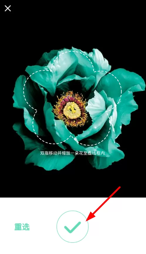 使用形色软件分享植物故事的操作过程