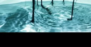 抖音拍水波纹视频的详细教程