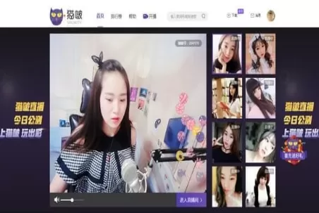 猫啵直播中申请主播职位的操作步骤