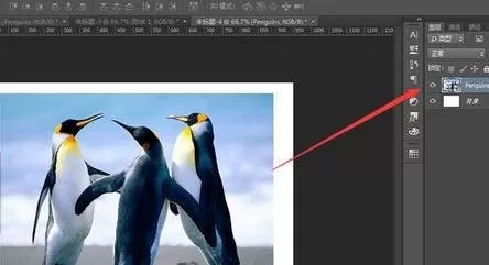 使用ps中进行添加文字的操作流程