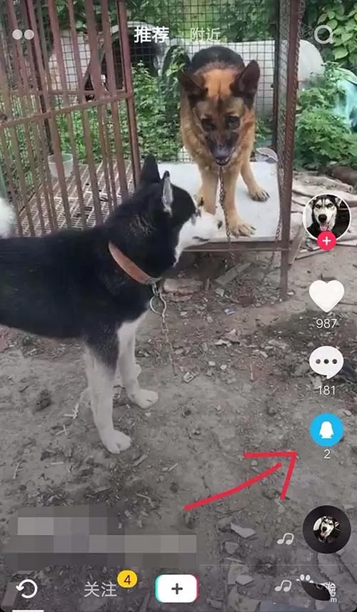 将抖音小视频设置成为手机动态壁纸的具体步骤