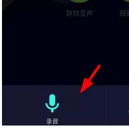变声器Voice changer的详细使用方法介绍