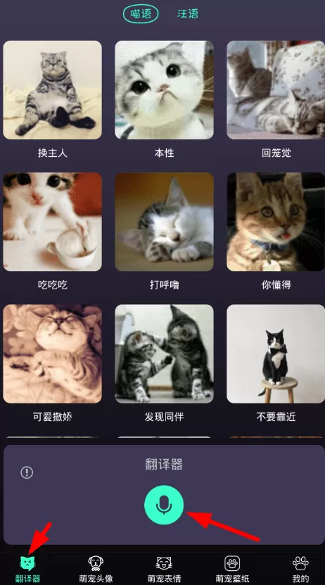 使用猫语翻译器进行录音的简单教程