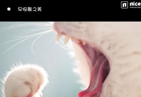 nice好赞保存图片的操作教程分享