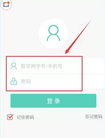 智学网app中查看年级成绩的操作步骤