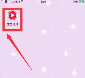 西瓜视频中充值钻石的具体操作步骤