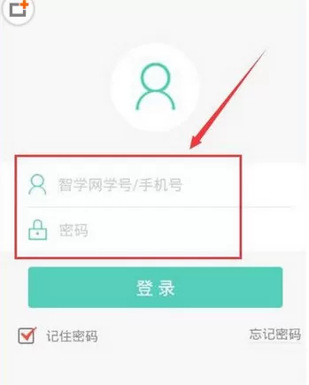智学网app中查询全区名次的具体操作步骤