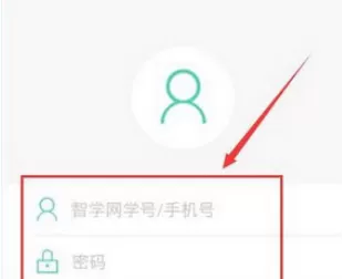 智学网APP中查询班级成绩信息及排名的操作步骤
