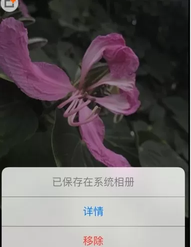 时光相册APP中删除已上传照片的操作步骤